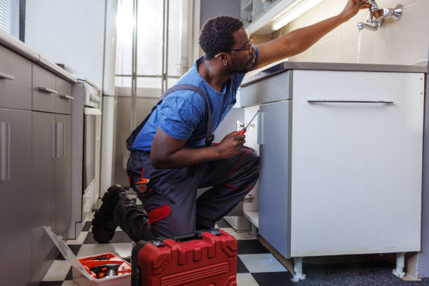 Best Local Plumber Services  in Ellsworth, KS